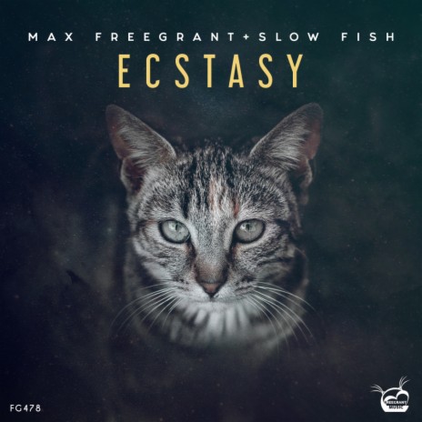 Ecstasy ft. Slow Fish | Boomplay Music