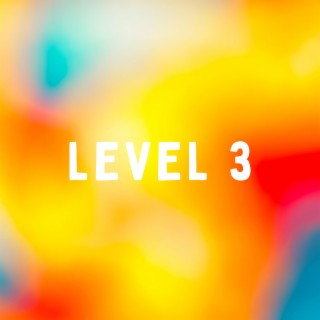 level 3