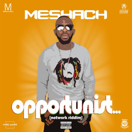 Opportunist | Boomplay Music