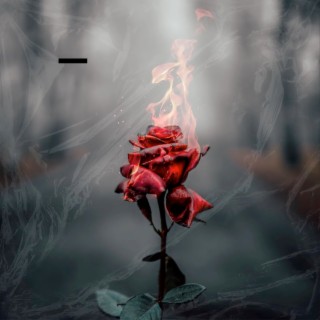 Smoking Beautiful Rose