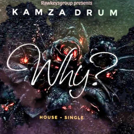 Why ft. Kamza Drum | Boomplay Music
