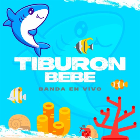 Tiburón Bebé Con Banda | Boomplay Music