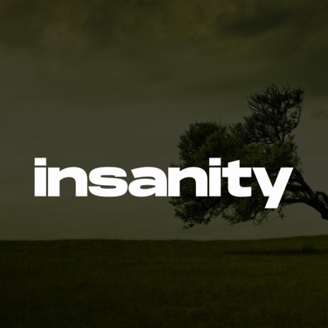 Insanity (Melodic Drill Type Beat) | Boomplay Music