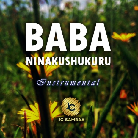Baba Ninakushukuru (Instrumental)
