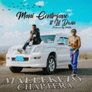 Maelekezo Chapter One ft. Lil Dwin lyrics | Boomplay Music
