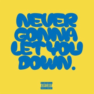 Never Gonna Let You Down ft. Junior Roy lyrics | Boomplay Music