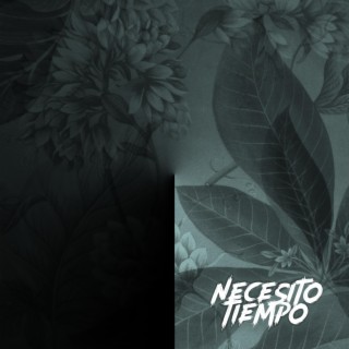 Necesito Tiempo lyrics | Boomplay Music