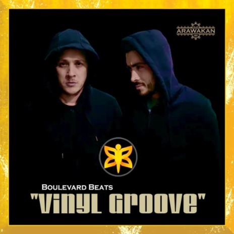 Vinyl Groove (Instrumental Mix) | Boomplay Music