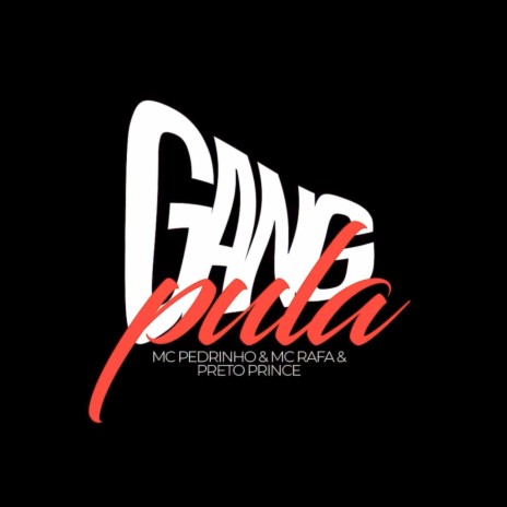 gang pula ft. Preto Prince, MC Rafa & Caio Passos | Boomplay Music
