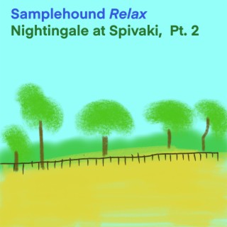 Nightingale at Spivaki, Pt. 2