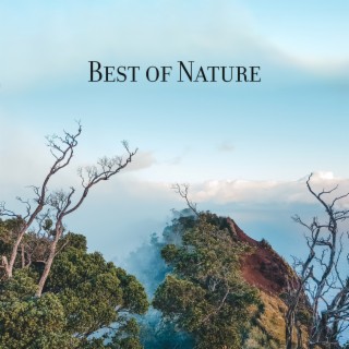 Best of Nature: Relaxing Healing Music with Nature Sounds for Better Mood & Sleep, Meditation and Yoga