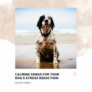 Calming Songs for Your Dog's Stress Reduction: Ocean Vibes