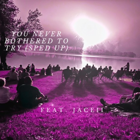 You Never Bothered To Try (Sped Up) ft. Jaceii | Boomplay Music