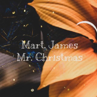 Mr. Christmas lyrics | Boomplay Music