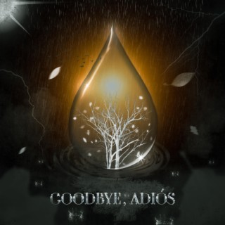 Goodbye, Adiós lyrics | Boomplay Music
