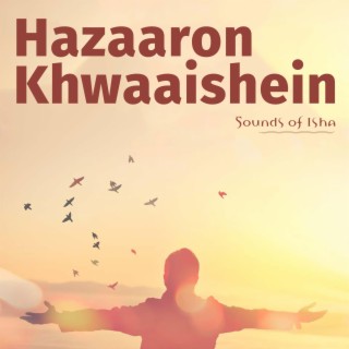 Hazaaron Khwaishein