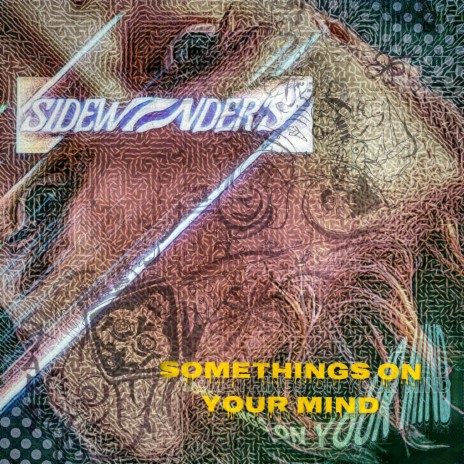 Somethings On Your Mind | Boomplay Music