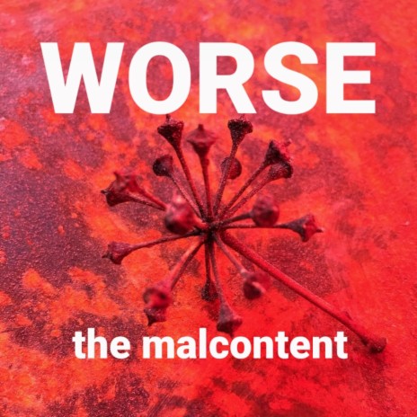 The Malcontent | Boomplay Music