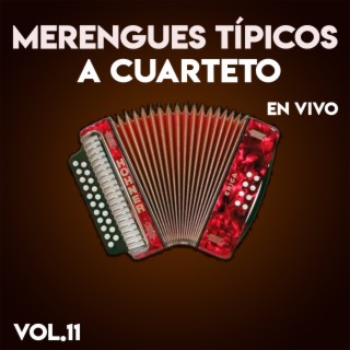 Merengues Tipicos A Cuarteto, Vol.11 (En Vivo)