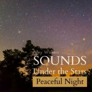 Sounds Under the Stars - Peaceful Night