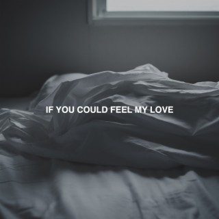 If You Could Feel My Love