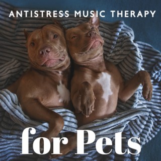 Antistress Music Therapy for Pets – Anxiousness, Insomnia, Gentle Sounds for Puppies