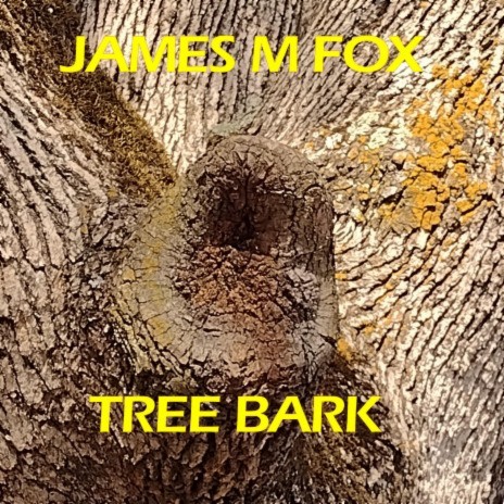 Tree Bark | Boomplay Music