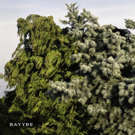 Bayybe 22 | Boomplay Music