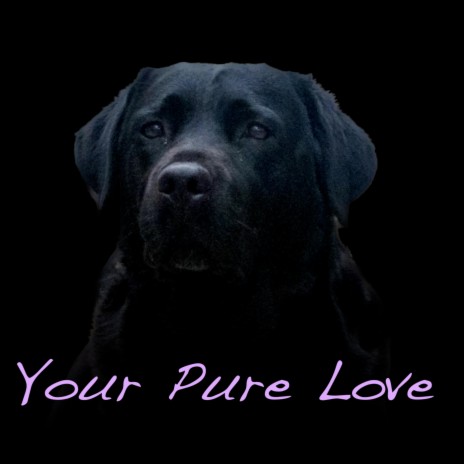 Your Pure Love | Boomplay Music
