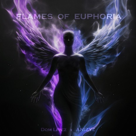 Flames Of Euphoria ft. ANIZYZ | Boomplay Music
