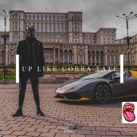 Up Like Cobra Tate | Boomplay Music