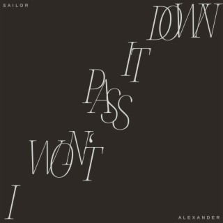 I Won't Pass It Down lyrics | Boomplay Music