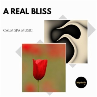 A Real Bliss: Calm Spa Music
