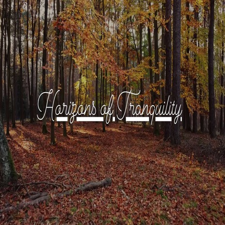 Horizons of Tranquility | Boomplay Music