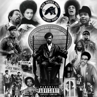 Black Panther lyrics | Boomplay Music