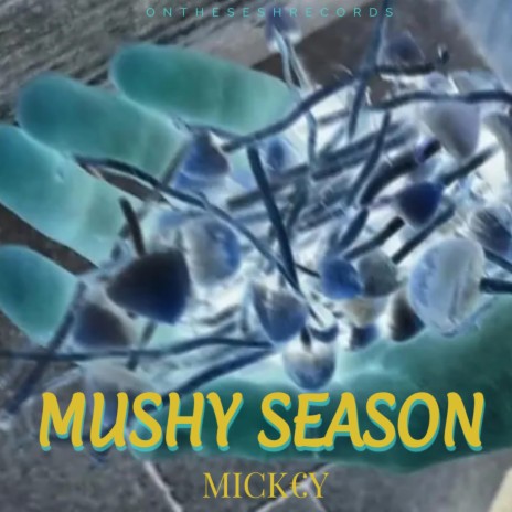 MUSHY SEASON | Boomplay Music