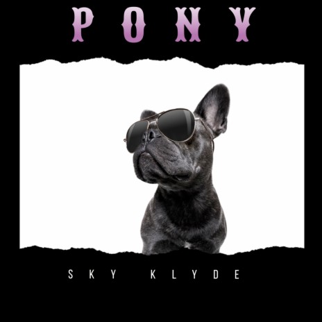 Pony | Boomplay Music