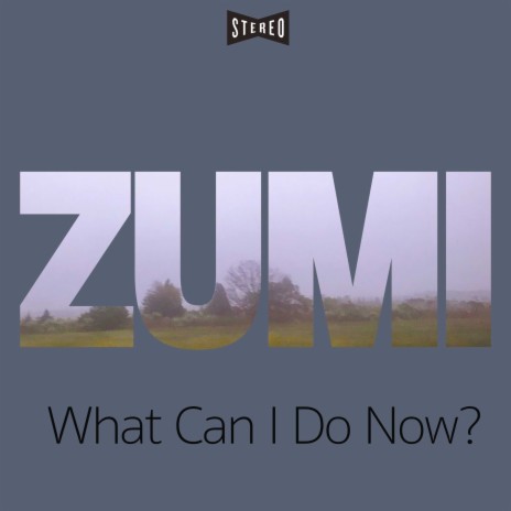 What Can I Do Now? | Boomplay Music