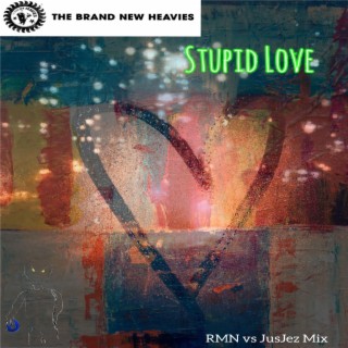 Stupid Love (RMN & JusJez Remix)