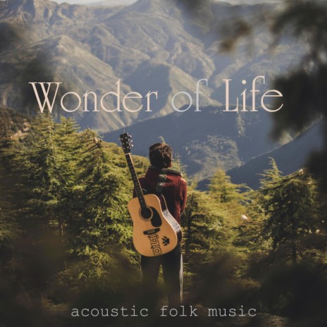 Wonder Of Life | Boomplay Music