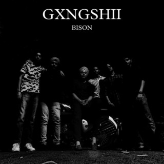 GXNGSHII