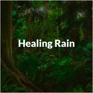 Healing Rain (with Nordic Rain)