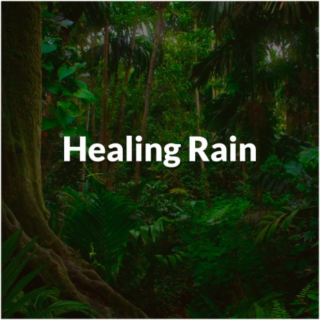 Healing Rain (with Nordic Rain) | Boomplay Music