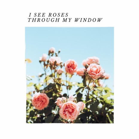 I see roses through my Window | Boomplay Music