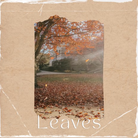 Leaves | Boomplay Music