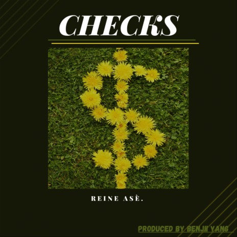 Checks | Boomplay Music