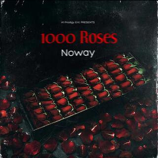 1000 Roses