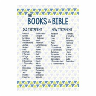 The Books Of The Bible