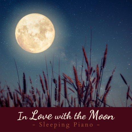 Feel the Full Moon | Boomplay Music