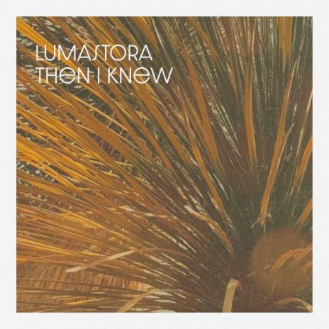 Then I Knew | Boomplay Music